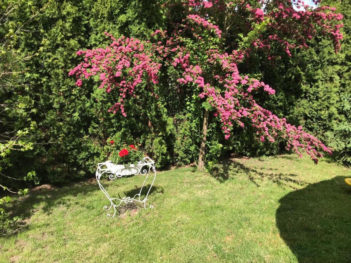 Pensjonat Rozanna Wawolnica Esterno foto